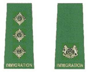 fnf_image4