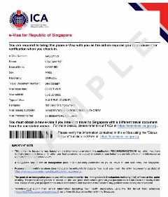 Sample of E-Visa