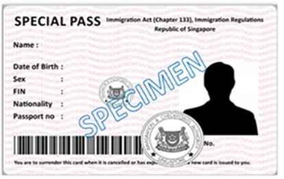 Long term visit pass singapore