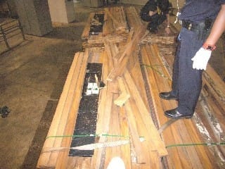 News_Releases_Cases_at_Checkpoints_261208_3