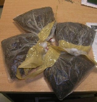 News_Releases_Cases_at_Checkpoints_3_Jul_08_4