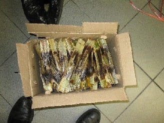 News_Releases_Cases_at_Checkpoints_25_Aug_09_1