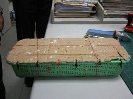 News_Releases_Cases_at_Checkpoints_25_Aug_09_2