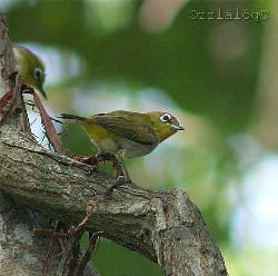 News_Releases_Cases_at_Checkpoints_25_Aug_09_3