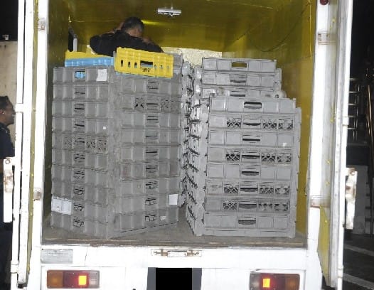 News_Releases_Cases_at_Checkpoints_Immigration_offenders_found_hiding_behind_the_crates_1