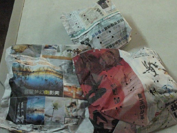 News_Releases_Cases_at_Checkpoints_Birds_wrapped_in_newspaper_with_poked_holes