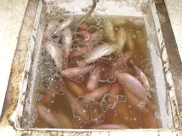 News_Releases_Cases_at_Checkpoints_18_Aug_10_1