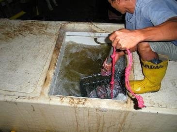 News_Releases_Cases_at_Checkpoints_18_Aug_10_2