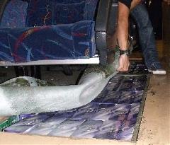 News_Releases_Cases_at_Checkpoints_4_Jun_10_1