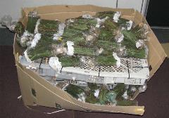 News_Releases_Cases_at_Checkpoints_9_Jun_10_2 News_Releases_Cases_at_Checkpoints_9_Jun_10_2