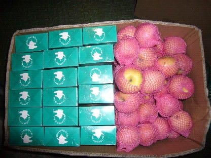 News_Releases_Cases_at_Checkpoints_7_May_10_3