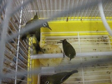 News_Releases_Cases_at_Checkpoints_7_Sep_10_4