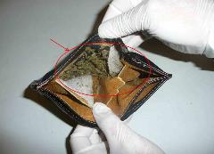 News_Releases_Cases_at_Checkpoints_27_Mar_11_p2