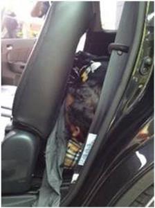 News_Releases_Cases_at_Checkpoints_1_Feb_12_p2