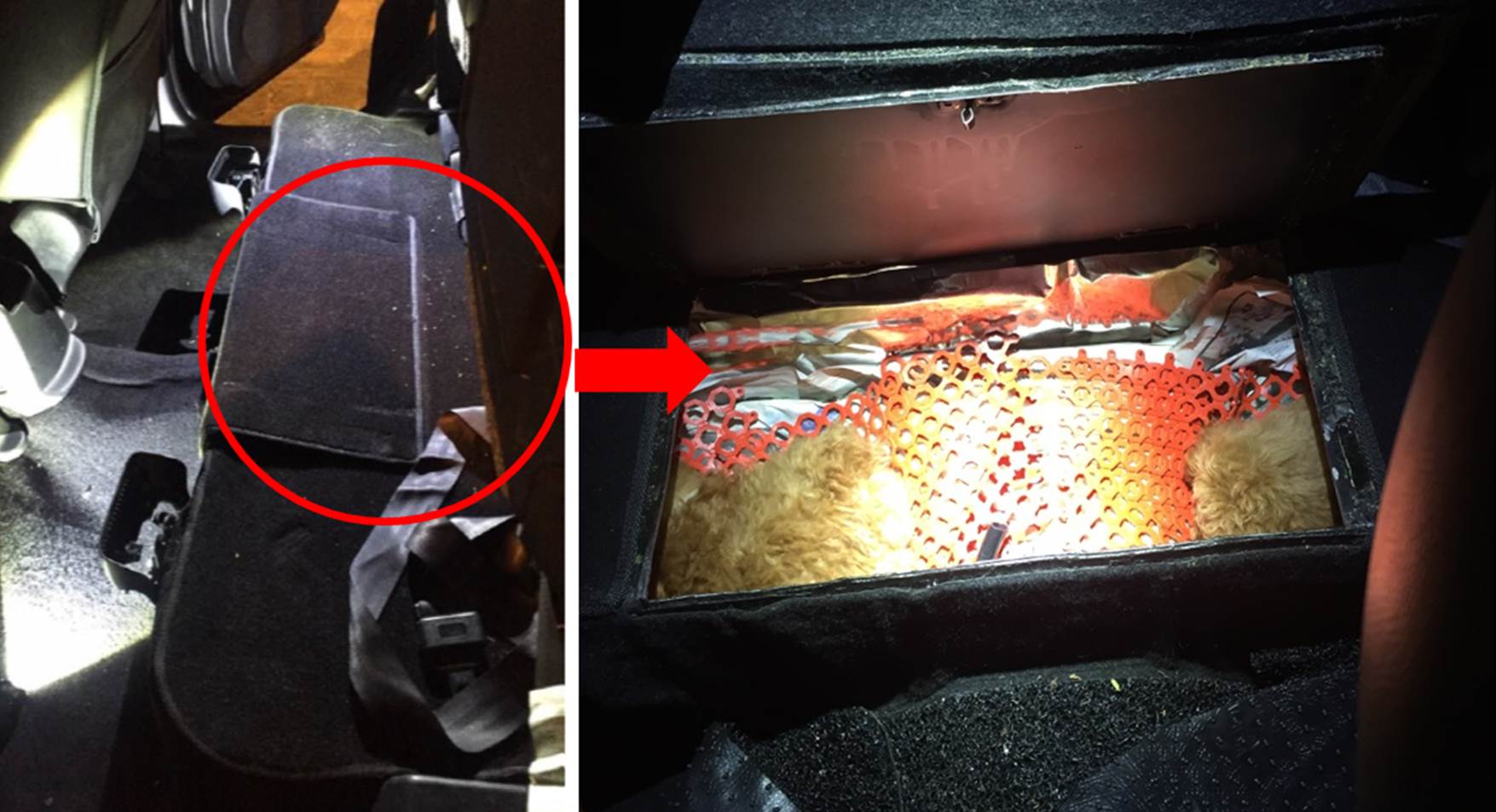 News_Releases_21May2016_6_live_puppies_hidden_in_a_modified_compartment_underneath_rear_passenger_seat