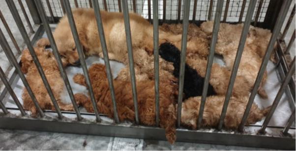 _images_News_Releases_13Dec18_20181213180302-2