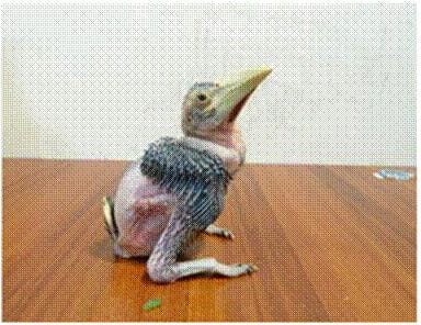 _images_News_Releases_19Jul18_20180719090422-1 _images_News_Releases_19Jul18_20180719090422-1