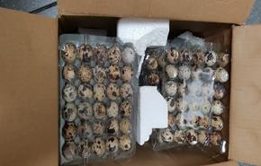 _images_News_Releases_30Oct18_20181030113145-2