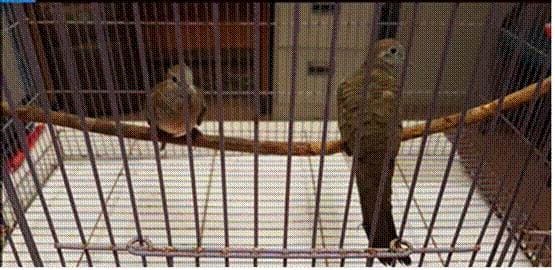 _images_News_Releases_19Sep18_20180919172241-1 _images_News_Releases_19Sep18_20180919172241-1