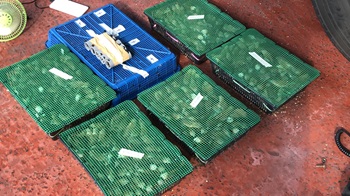10 aug birds 4 A total of 15 containers of 815 birds were uncovered (Photo credit: ICA)