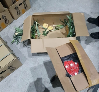 Duty-unpaid cigarettes found hidden in the consignment of pineapples. Picture 6