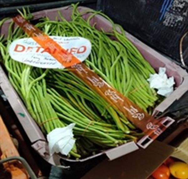 211117-01 Illegal Consignments seized