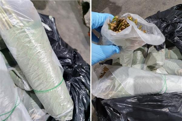 Close up of the bundles of kratom leaves found in the battery compartment of a Malaysia-registered lorry on 3 January 2022