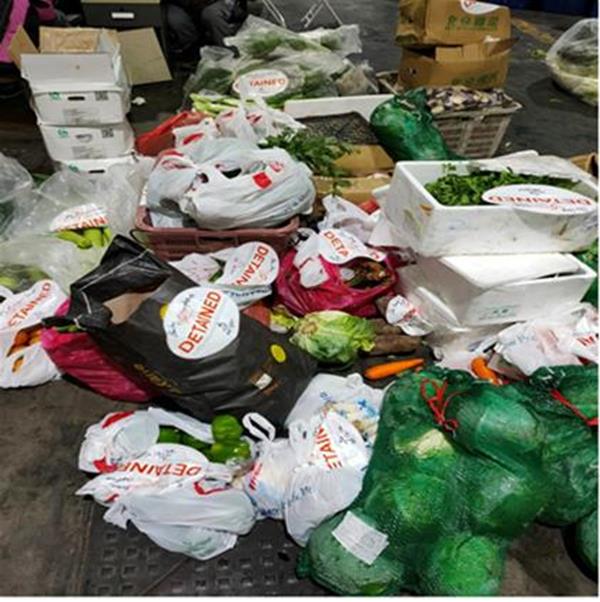 Illegal imports seized from Bao Kang Enterprise (Photo: SFA)