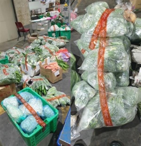 230215-01 Illegal Import of Fresh and Processed Produce