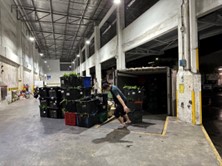 Illegally Imported Vegetables Illegally Imported Vegetables