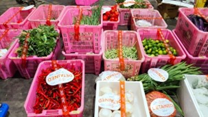 More Than 1.6 Tonnes of Illegally Imported Vegetables Seized Following Joint Operations by SFA And ICA