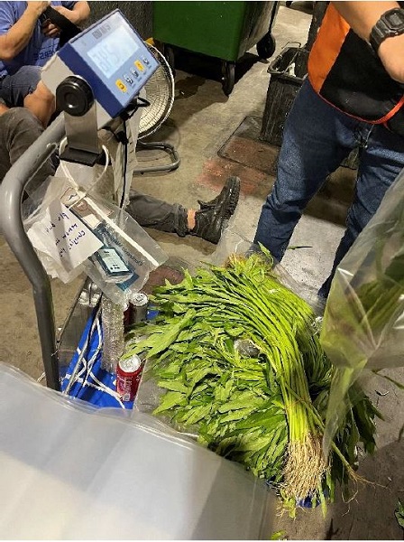 Illegal imports seized