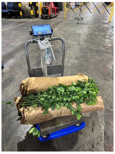 Produce is weighed and the total weight is tallied