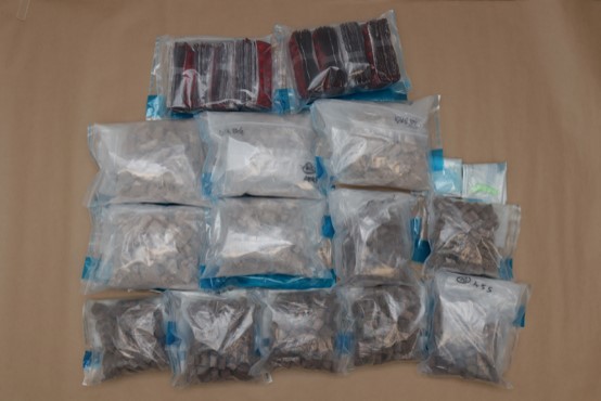 Drugs found concealed in various parts of a car