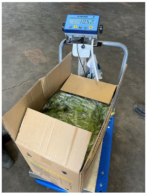 Weighing of consignment