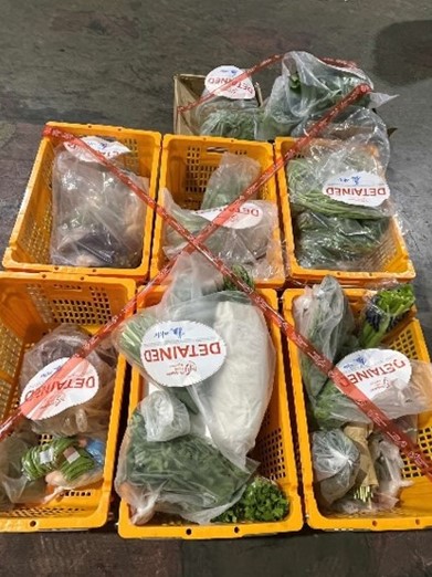 All illegal imports were seized