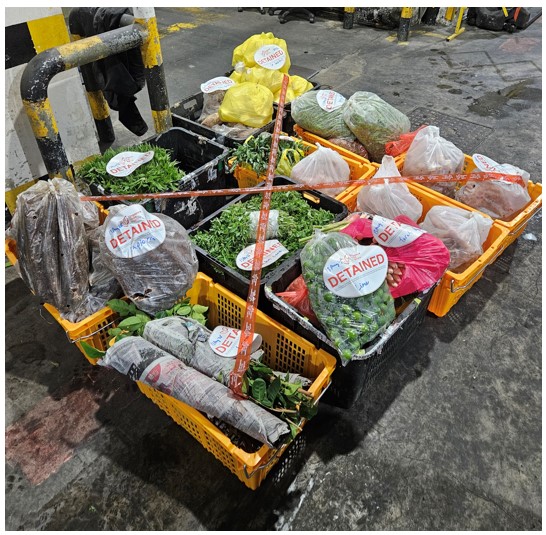 All illegal imports seized