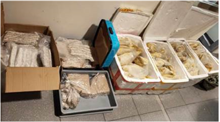 153kgMeat 153kgMeat