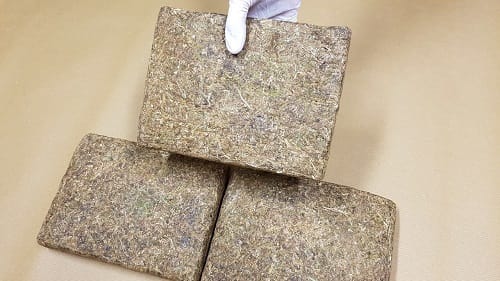 News_Releases_-2017_20170609_cannabis_nr
