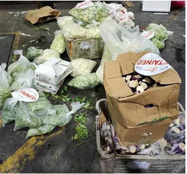 Illegal imports seized from Sunrise Vegetables Pte Ltd (Photo: SFA)