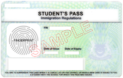 Physical STP card back Physical STP card back