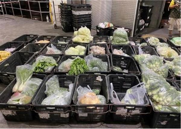 Photo of Some of the illegally imported produce_cabbage Photo of Some of the illegally imported produce_cabbage