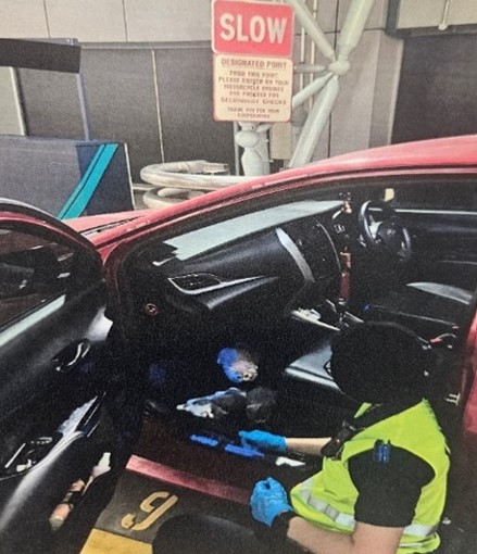 ICA officer retrieving kittens from the vehicle
