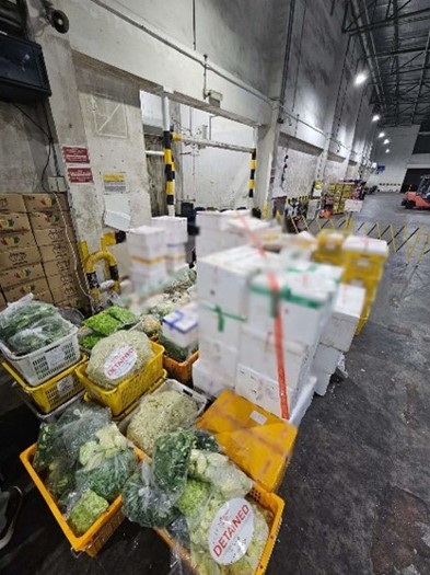 All illegal imports were seized